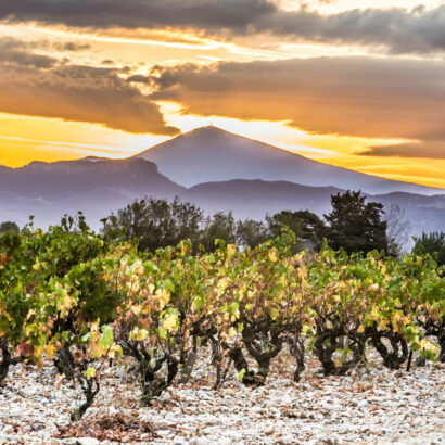 Appellations vignobles des Côtes du Rhône