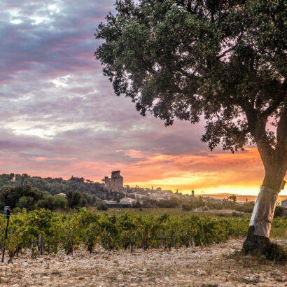 Les tops du Vaucluse