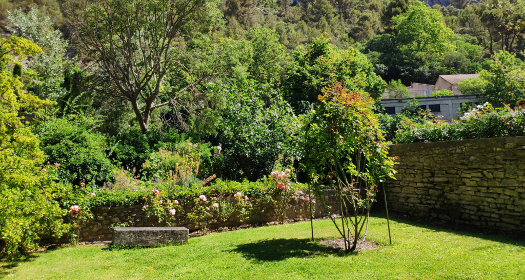 Jardin du musée-bibliothèque Pétrarque