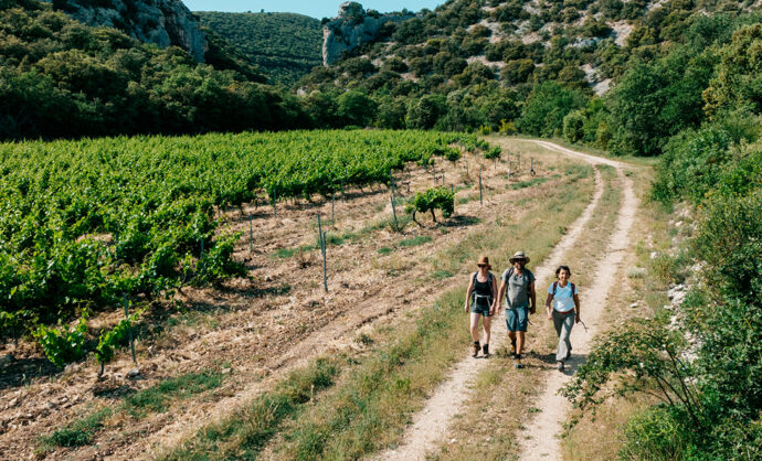 Randonnée en Vaucluse