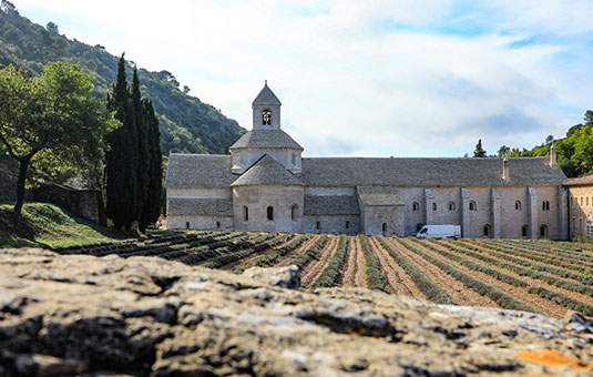 Abbaye de Sénanque