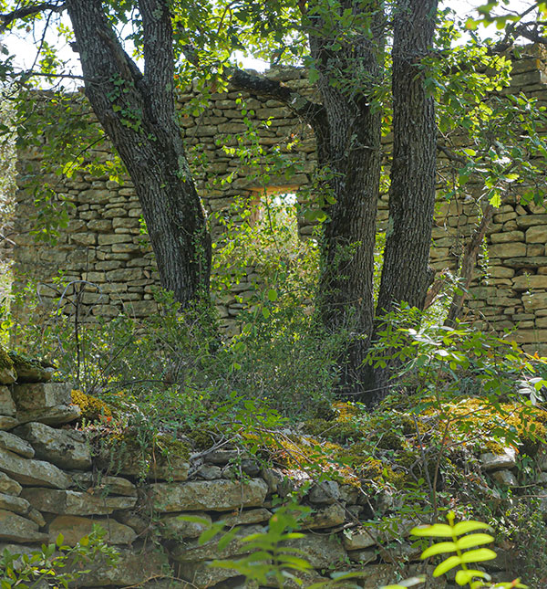 Pierre séche en Luberon